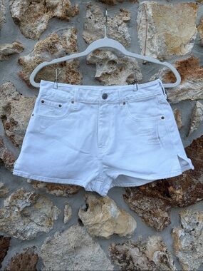 Pacsun shorts high rise festival